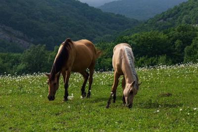 Прикрепленное изображение: IMG_0477.jpg